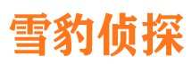 金山捉小三公司